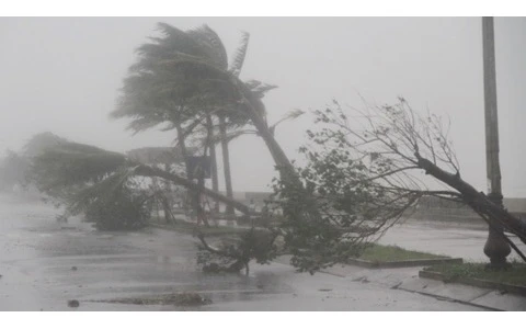 Video: Bão Noru đổ bộ vào sáng sớm nay, miền Trung mất điện diện rộng