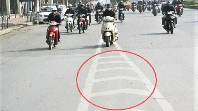 Video: Vạch kẻ xương cá “tiến thoái lưỡng nan” gây sốt mạng là gì?