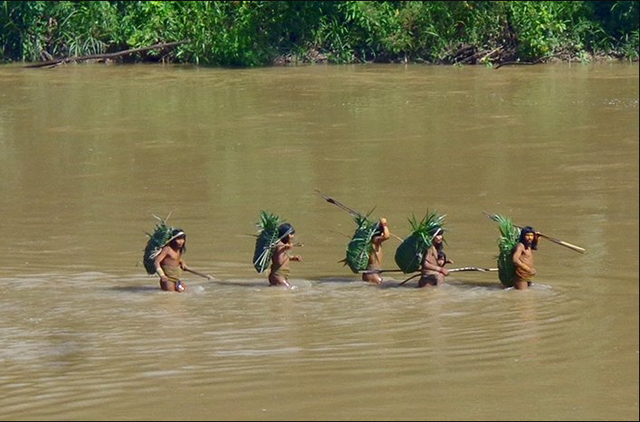 Khi lãnh thổ bị xâm lấn, một số bộ lạc buộc phải tiến gần hơn tới bờ sông hoặc khu vực có người sinh sống, thường phản ứng bằng sự phòng vệ mạnh mẽ. (Ảnh: Science)