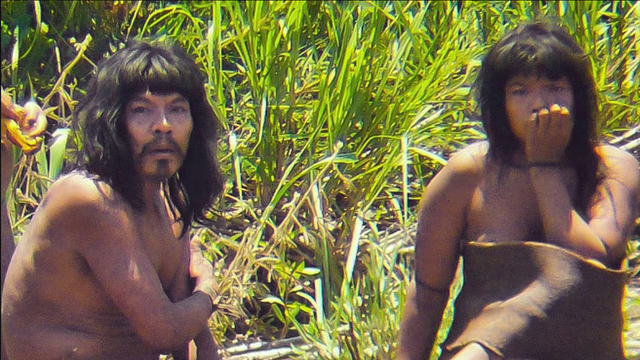 Hiện trên thế giới còn khoảng 200 bộ lạc chưa từng tiếp xúc với xã hội hiện đại, phần lớn tập trung tại rừng Amazon thuộc Brazil và Peru. (Ảnh: NYP)