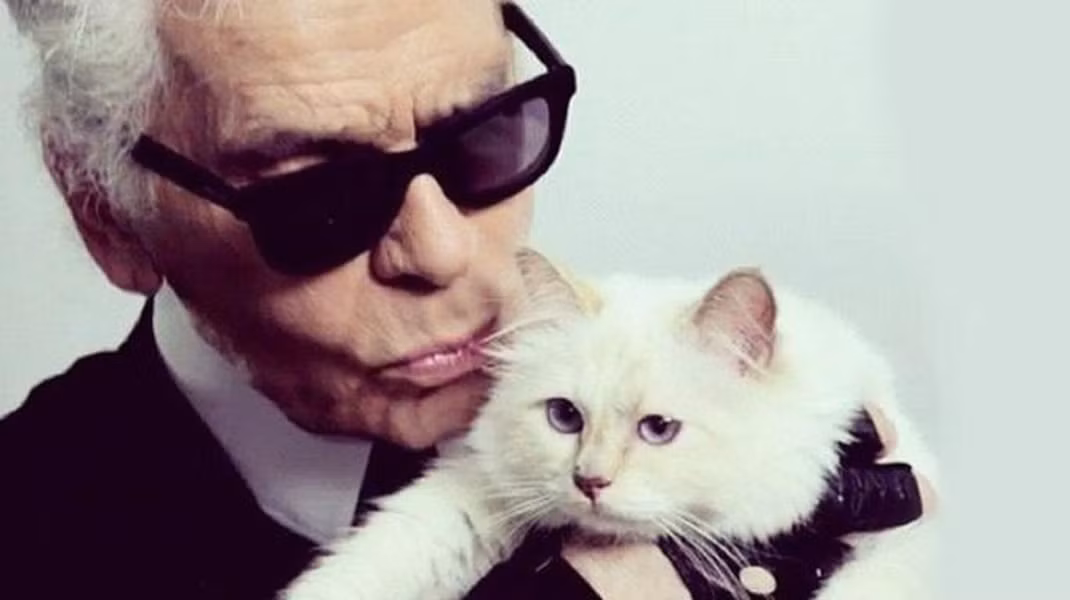 Chú mèo Choupette của "Bố già Chanel" Karl Lagerfeld sở hữu cuộc sống vương giả và những tiện nghi xa hoa sau khi ông chủ của nó qua đời và để lại khối tài sản trị giá khoảng 200 triệu USD.