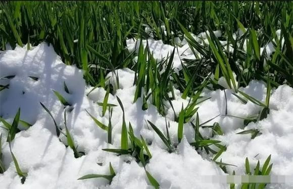 Đặc điểm thứ ba: Năm nay, điểm thu phân rơi trước điểm trăng phân.