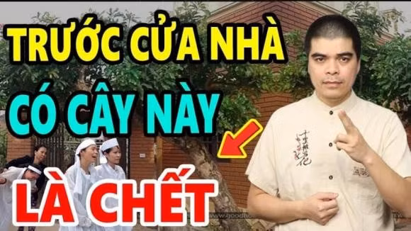 3 loại cây tránh trồng trước nhà kẻo hối hận