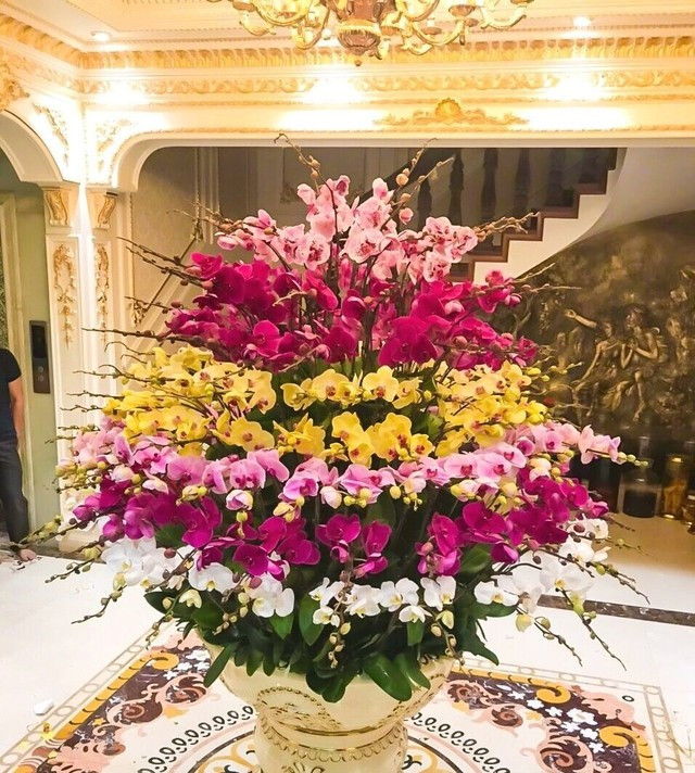  2. Hoa lan có giá trị sưu tầm: Không phải chậu lan nào cũng có giá trị cao. Trong thú chơi lan, chỉ một số dòng nhất định mới được xem là có khả năng tích giá theo thời gian, tiêu biểu như kiếm lan hay các dòng lan hồ điệp có nguồn gốc, xuất xứ rõ ràng.