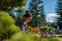 Cổ nhân dặn, viếng mộ Tết Thanh minh 2026, không làm 5 việc, gia đình bình an