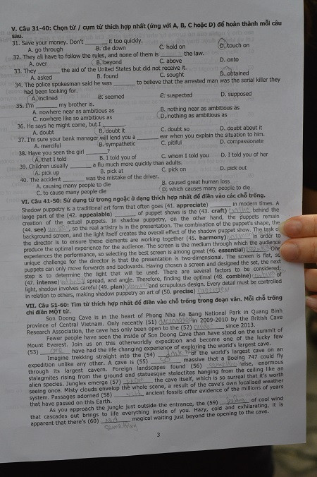 De thi tuyen sinh vao lop 10 mon Tieng anh chuyen Ngu DHQGHN nam 2015-Hinh-3