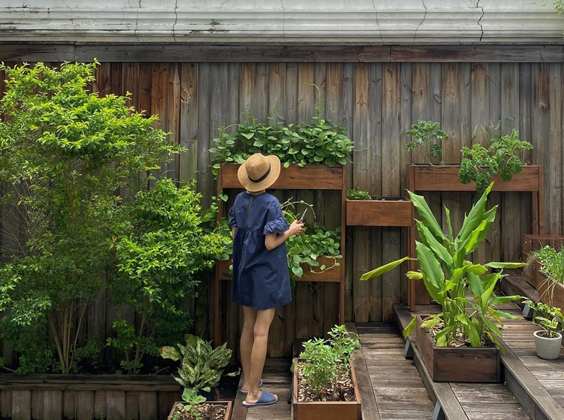 Người đẹp trồng nhiều loại rau, cây trái trong biệt thự. "Đi một vòng có 1 tô canh!", Hà Tăng khoe nấu ăn từ các loại rau trong vườn.