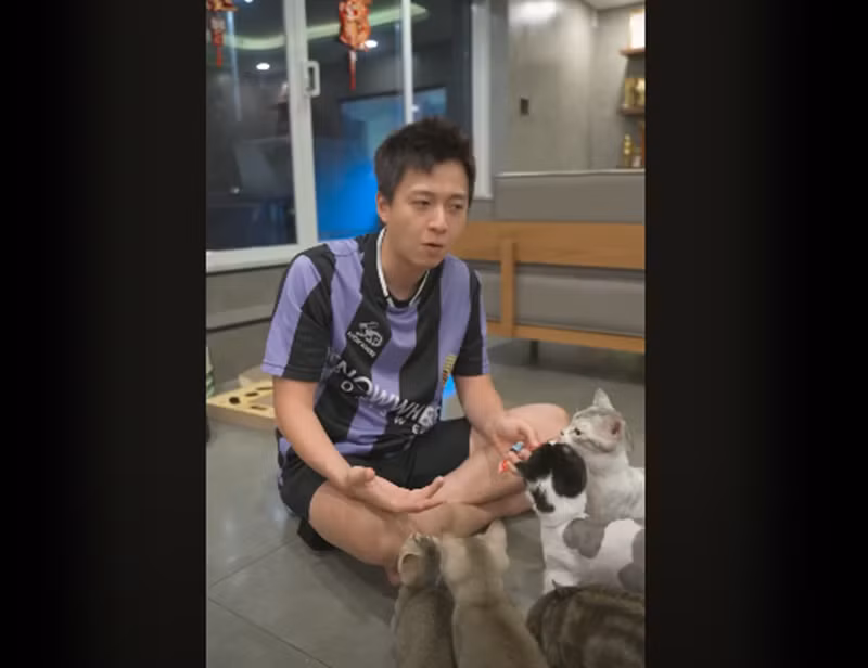 Ngô Kiến Huy nuôi mèo trong penthouse. Ảnh: Youtube Ngô Kiến Huy.