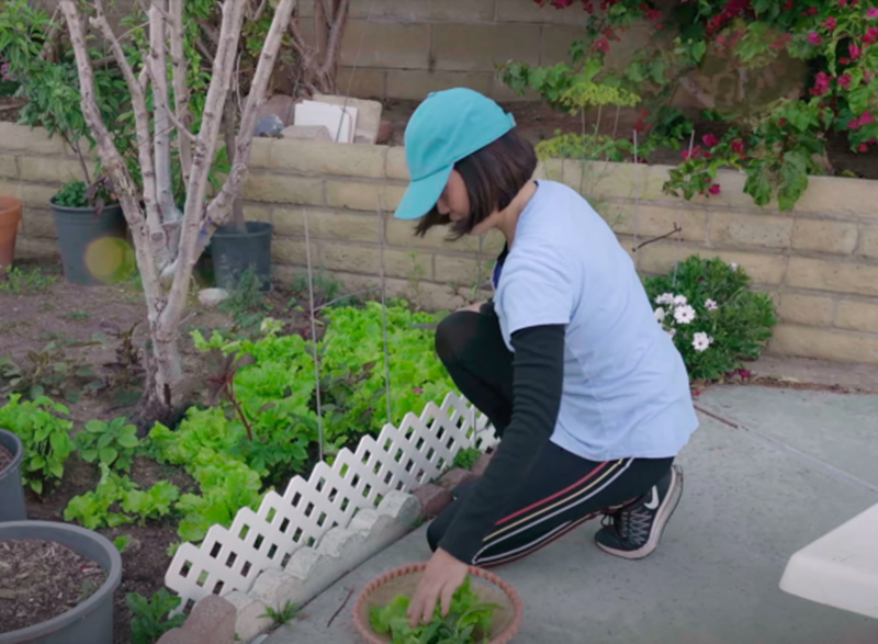 Nữ diễn viên hào hứng thu hoạch rau.