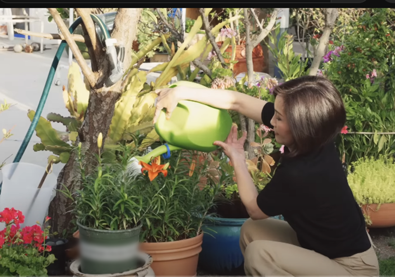 Hồng Đào tự tay chăm sóc khu vườn hoa, rau trái.