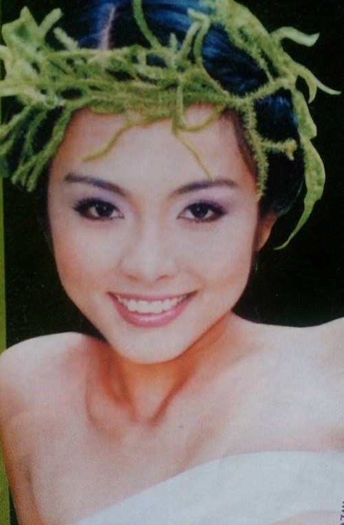 Vẻ đẹp hút hồn cùng khả năng diễn xuất giúp Hà Tăng có nhiều cơ hội phát triển nghề. Ảnh: Vietnamnet.