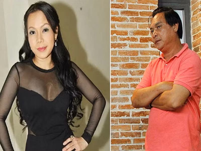 Lý do Việt Hương ly hôn là vì nữ nghệ sĩ chỉ lao vào kiếm tiền, không có thời gian chăm sóc cho gia đình nhỏ. Ảnh: Gia Đình Xã Hội.