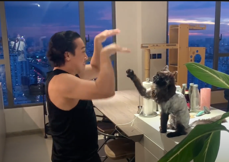 Nam MC chơi đùa cùng thú cưng, chia sẻ không ít câu chuyện hài hước về những chú mèo của mình như nhà riêng bị thú cưng "quậy" trong 3 tuần vợ chồng anh đi Mỹ, hay Trấn Thành bị mèo cưng leo lên giường cướp mất chỗ ngủ. Ảnh: Youtube Hari Won.