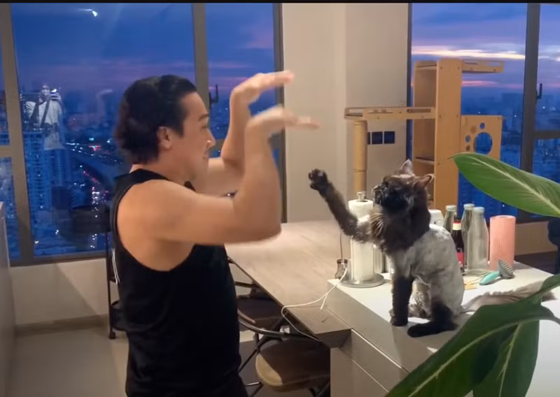 Nam MC chơi đùa cùng thú cưng, chia sẻ không ít câu chuyện hài hước về những chú mèo của mình như nhà riêng bị thú cưng "quậy" trong 3 tuần vợ chồng anh đi Mỹ, hay Trấn Thành bị mèo cưng leo lên giường cướp mất chỗ ngủ. Ảnh: Youtube Hari Won.