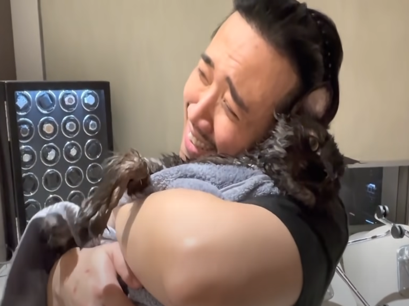 Vợ chồng Trấn Thành nuôi mèo trong căn hộ. Ảnh: Youtube Hari Won.