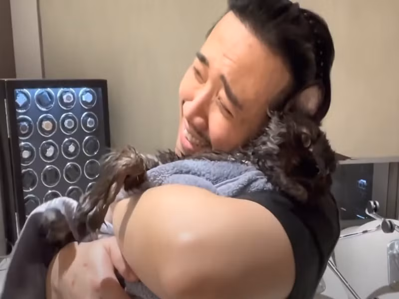 Vợ chồng Trấn Thành nuôi mèo trong căn hộ. Ảnh: Youtube Hari Won.