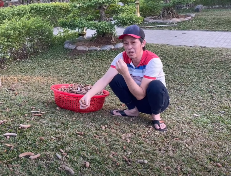 Nam nghệ sĩ thử ăn trái me trong vườn. Ảnh: Youtube Hoài Linh.