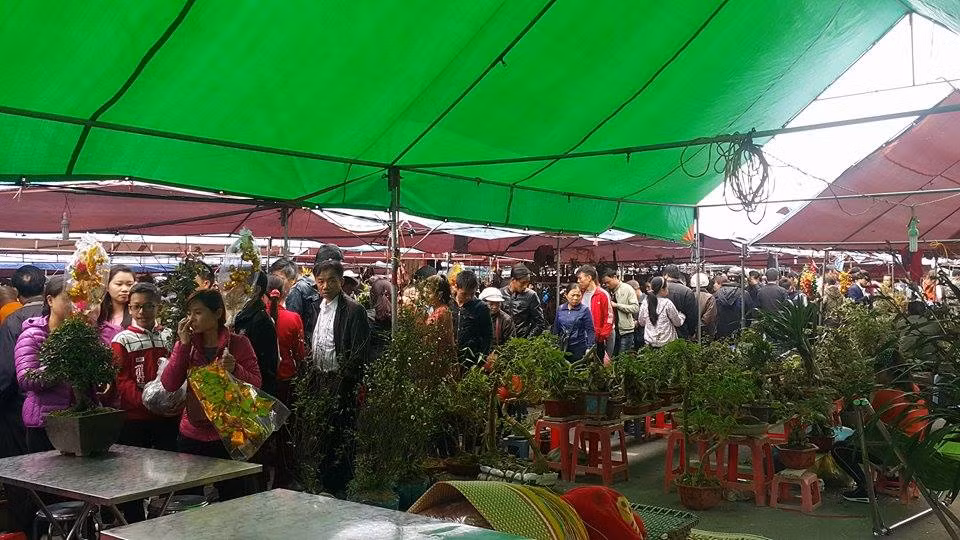 Trong hai ngày lễ hội, lực lượng chức năng sẽ căn cứ tình hình, mật độ phương tiện trên QL10 để chủ động phân luồng cho các xe tải, xe khách chạy tuyến cố định Nam Định - Ninh Bình ngay từ ngã ba Lộc An, ngã tư QL10-QL21B theo hướng Phủ Lý - QL1 - Ninh Bình. Phối hợp với Công an tỉnh Ninh Bình phân luồng các phương tiện từ Ninh Bình đi Nam Định ngay từ ngã tư cầu Vòm, cầu Non Nước (phía Ninh Bình) hay phân luồng các phương tiện từ nút giao đường cao tốc Cao Bồ đi Phủ Lý - TP Nam Định.