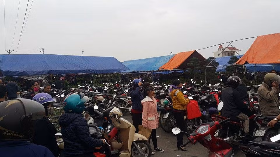 Hàng chục bãi đỗ xe của BTC và người dân nhưng vẫn không đủ sức chứa do khách quá đông.