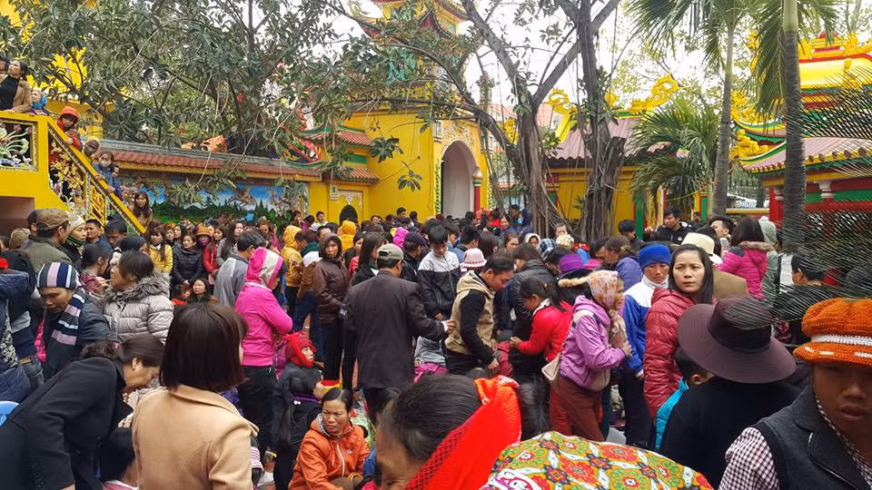 Hay dọc đường đi hoặc bất kỳ chỗ nào có khoảng trống.