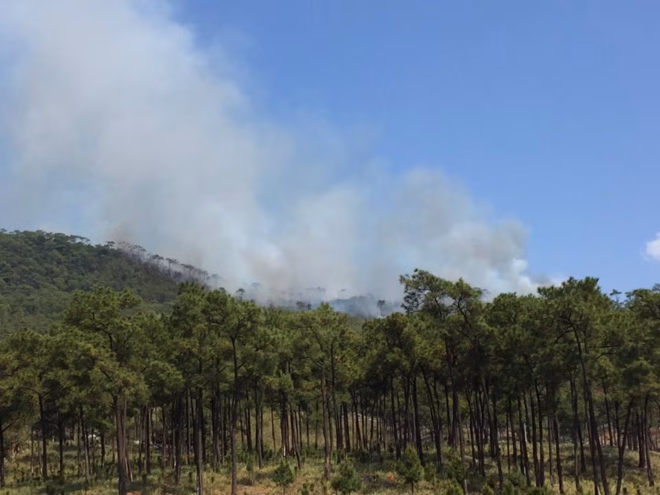 Quang Ninh: 200 nguoi cuu chay rung gan chua Loi Am Thuong
