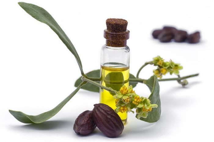 Mặc dù được gọi là dầu, jojoba thực sự là một loại sáp lỏng làm từ hạt của cây bụi jojoba, được tìm thấy ở phía tây nam Hoa Kỳ. Ảnh: shayandcompany.