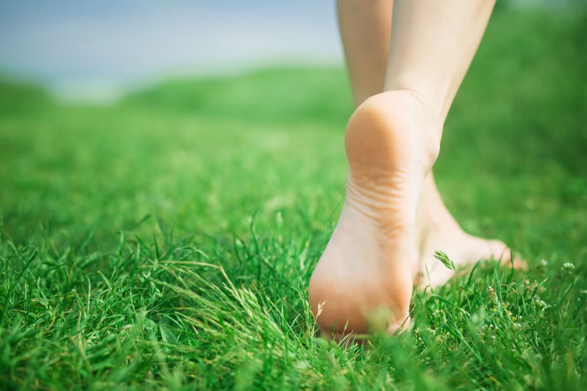 Ngoài ra, khi bạn có một ngày tồi tệ và cần phải thư giãn, hãy ra khỏi nhà đi bộ nhanh hoặc thiền trên một thảm cỏ xanh mướt hoặc trong một công viên gần nhà.