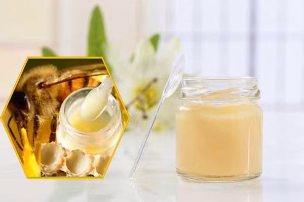 Lý do là vì sữa ong chúa giúp tăng cường máu lên não, lại có chứa nhiều vitamin B cũng như nhiều chất dinh dưỡng khác giúp giảm mệt mỏi, cải thiện giấc ngủ ngon và sâu hơn. Ảnh: tin247.