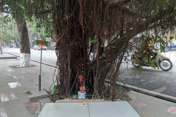 Ngoi mieu nho tren via he he lo su nhiem mau cua ba chua Nam Phuong-Hinh-2