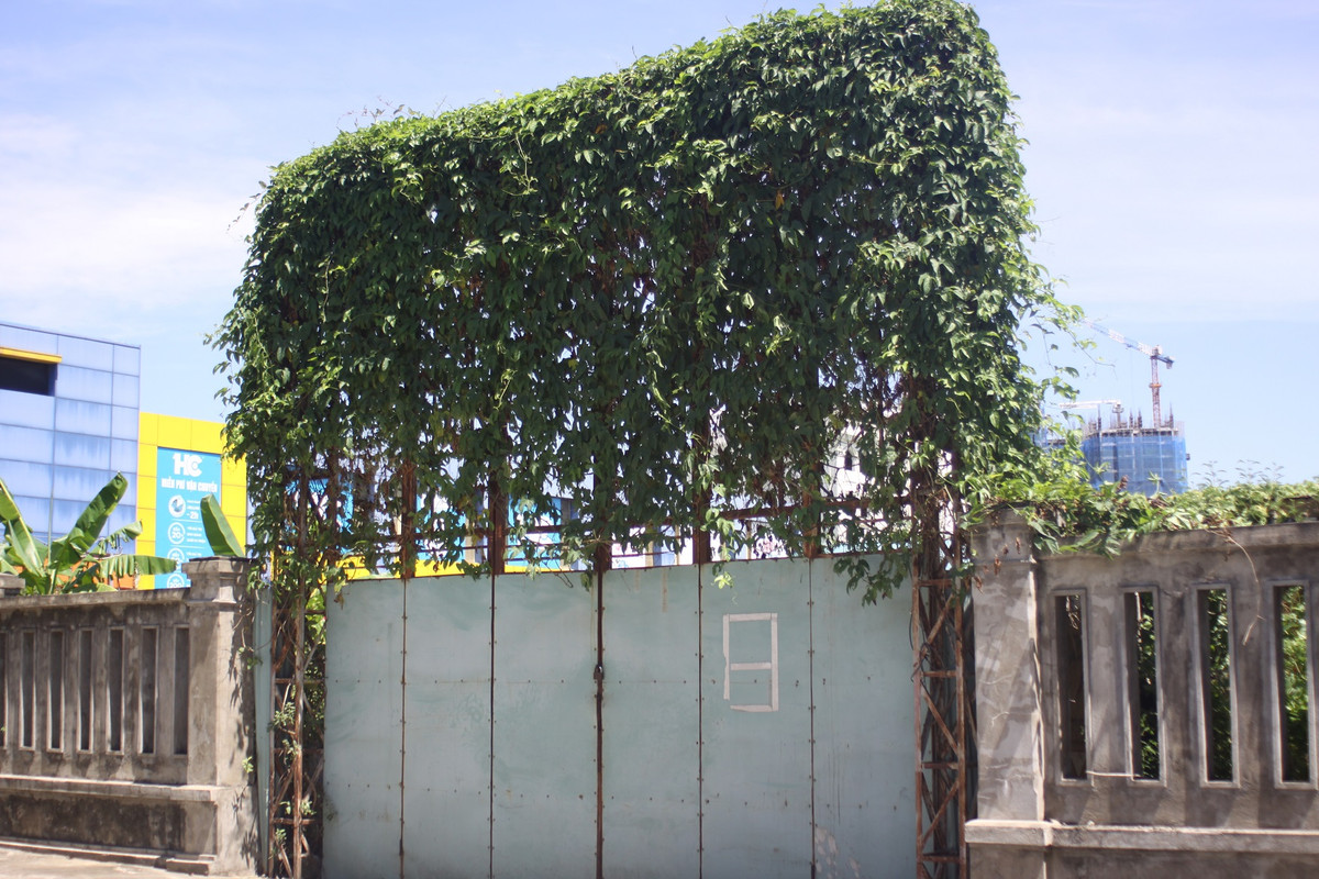 Cổng vào dự án cỏ mọc kín.