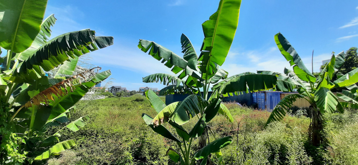 Được biết mới đây, chủ đầu tư đã đề nghị điều chỉnh toàn bộ quỹ đất từ hình thức xây dựng hợp khối công trình dịch vụ thương mại, văn phòng làm việc, khách sạn cao 28 tầng thành khu trung tâm thương mại, văn phòng, khách sạn và nhà ở kết hợp thương mại Shophouse Công Thanh nhưng không được chấp thuận vì không đảm bảo mỹ quan đô thị dọc đại lộ Lê Lợi. Trong ảnh: Bên trong dự án có khu nhà tôn làm tạm bợ.