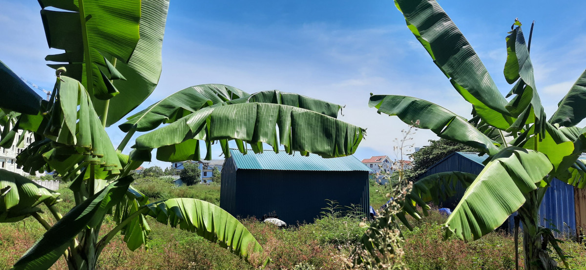 Dự án với 2 mặt tiền nằm trên đại lộ Lê Lợi - trục đường đẹp nhất TP Thanh Hoá, nằm giữa Trung tâm thành phố và khu trụ sở mới của UBND tỉnh. Nhưng sau 12 năm, chủ đầu tư vẫn chưa thể hoàn thành, để khu đất vàng trở nên nhếch nhác, hoang phí.