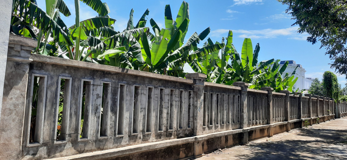 Vì dự án bị bỏ hoang lâu năm nên nhiều người dân tận dụng làm nơi trồng chuối.