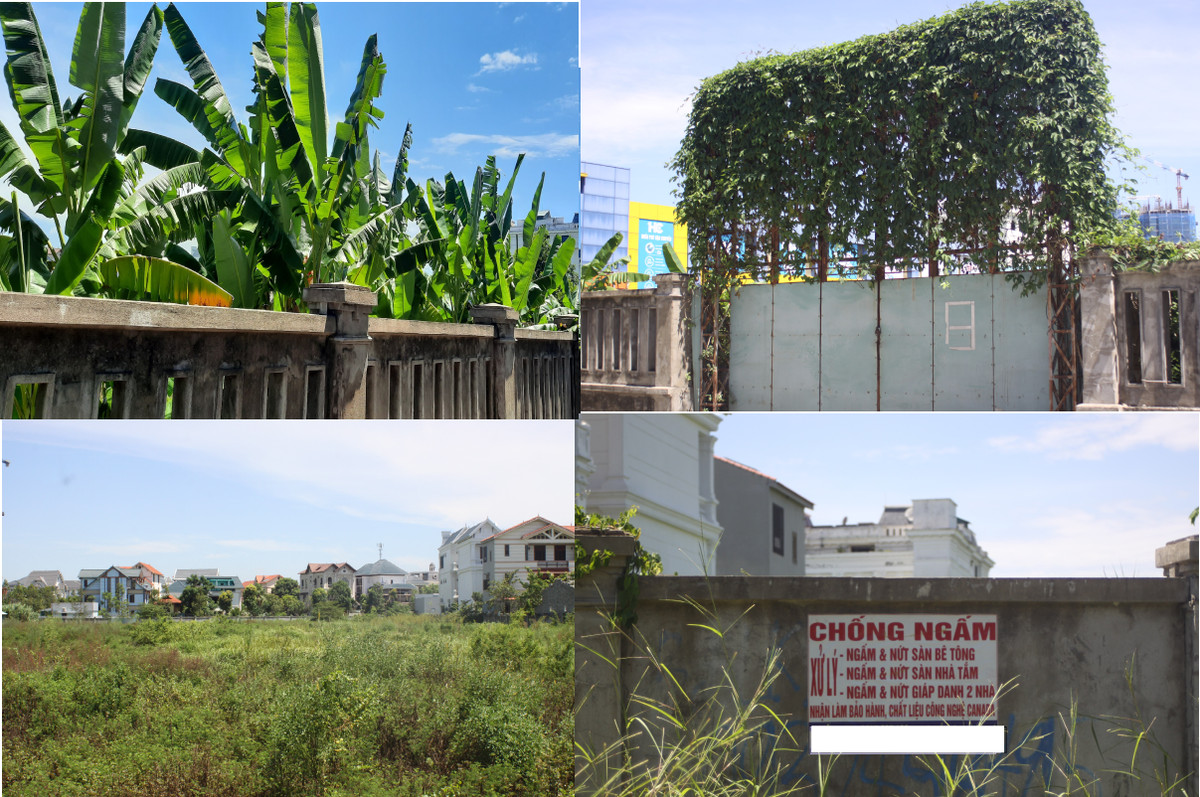 Dù dự án bị bỏ hoang gần 12 năm nhưng đến nay chưa bị thu hồi.