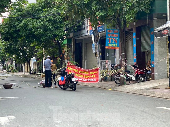 Bê tông, chậu cây cảnh...