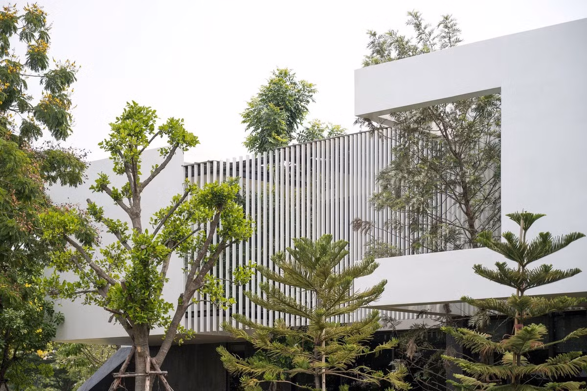 Các khu vực sinh hoạt riêng tư như phòng ngủ được đưa lên trên cùng, tạo ra một ngôi nhà hình hộp hiện đại.