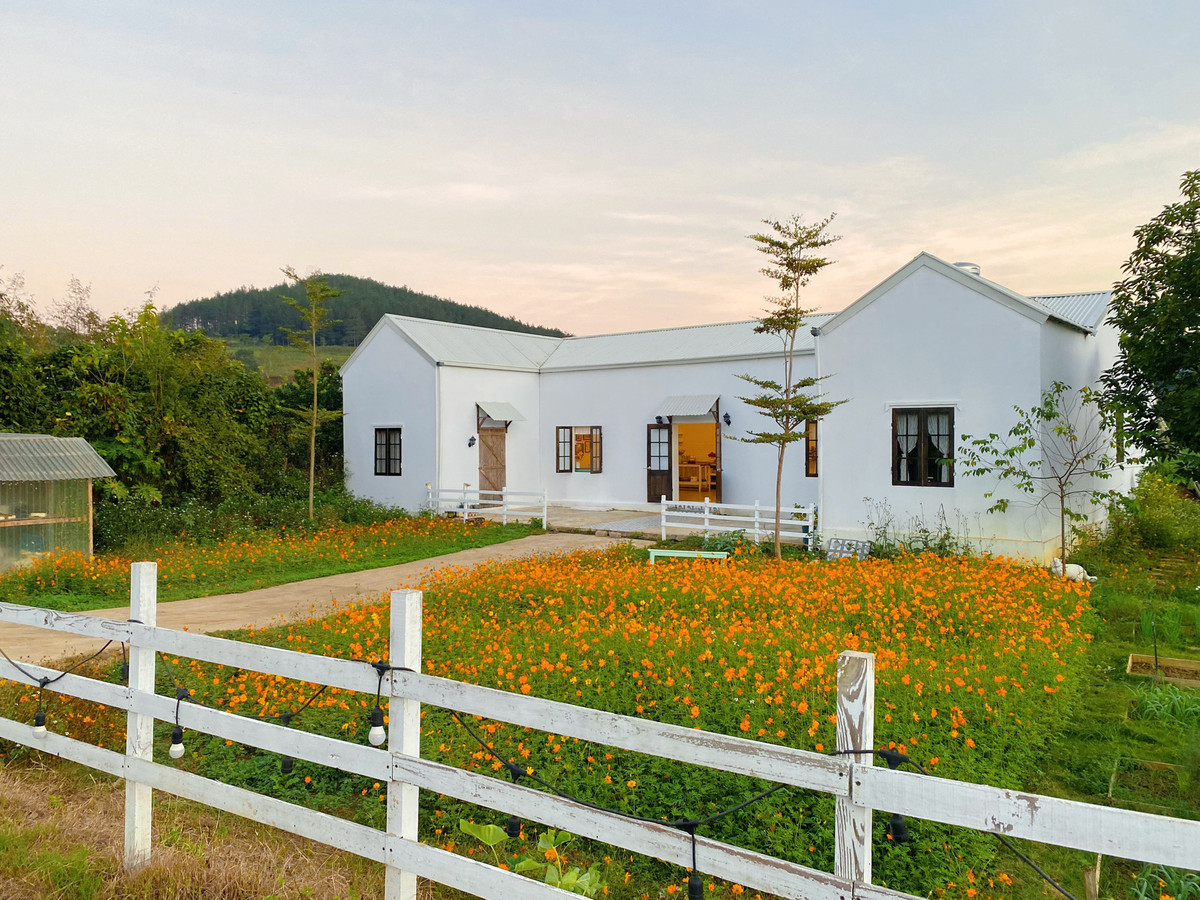 Trên mảnh đất có sẵn căn nhà mà chủ cũ để lại, rộng 200m2. Khi nhận bàn giao, công trình đã xuống cấp. Các phần tường bong tróc từng mảng, ngói vỡ nát, phía trước cỏ mọc um tùm.