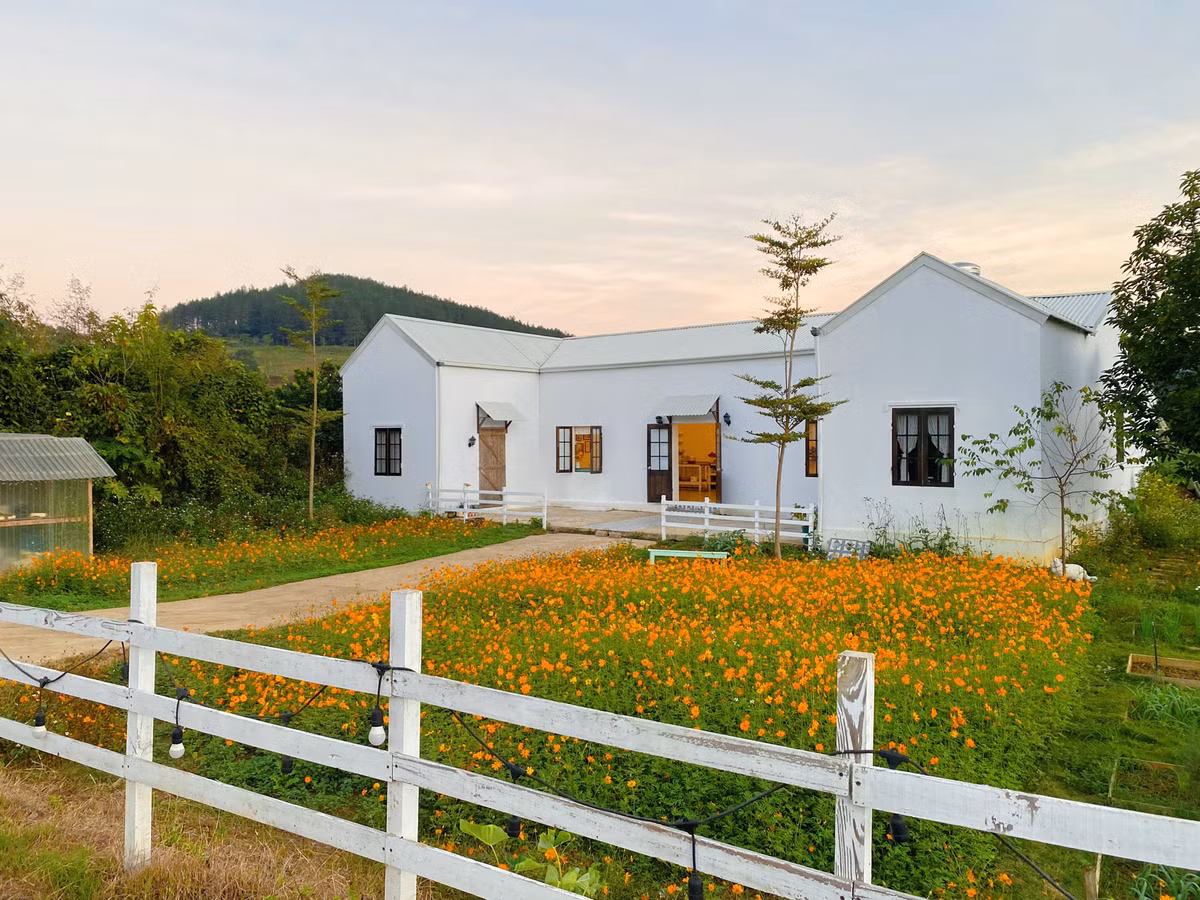 Trên mảnh đất có sẵn căn nhà mà chủ cũ để lại, rộng 200m2. Khi nhận bàn giao, công trình đã xuống cấp. Các phần tường bong tróc từng mảng, ngói vỡ nát, phía trước cỏ mọc um tùm.