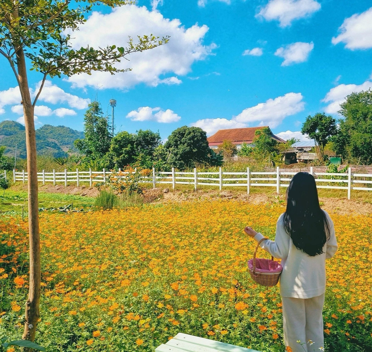 Sau nửa năm, khu nhà ở được cải tạo xong với diện mạo mới, thiết kế theo phong cách nhà vườn với tông chủ đạo là trắng, xanh bạc hà và nâu gỗ, gồm: 4 phòng ngủ được sắp đặt theo chủ đề xuân, hạ, thu, đông; 1 bếp ăn và phòng khách.