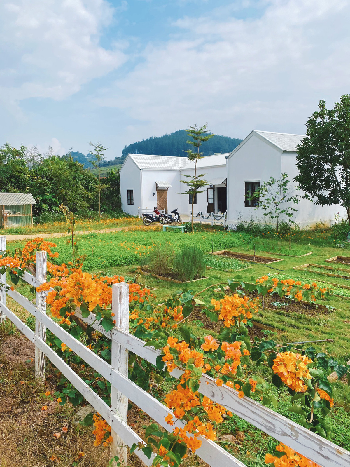Trong bếp, thay vì sử dụng hệ tủ trên, chị Linh dùng kệ mở để bày đồ trang trí sưu tầm được hoặc đồ thủ công tự làm. Chị Linh tỉ mỉ vun vén từng góc khuôn viên.