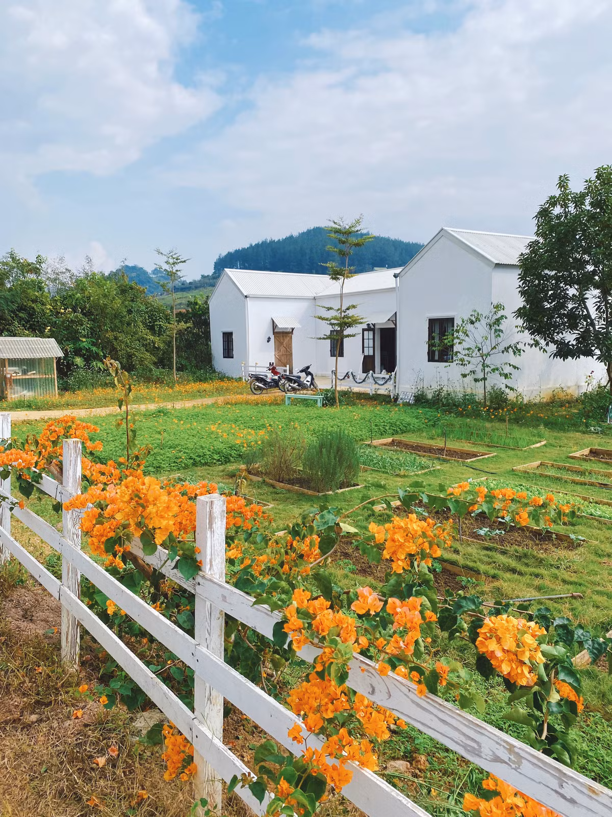 Thời điểm gần hoàn thiện, chị Linh còn phải thức đêm khâu tay chiếc rèm khổ rộng, ngăn giữa phòng khách và khu vệ sinh.