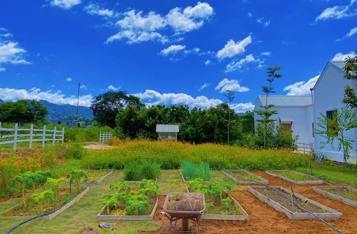 “Không gian sống có ý nghĩa rất lớn, là nơi mình tìm lại được những giây phút bình yên, được làm công việc mình thích, tuy vất vả nhưng hạnh phúc. Để cải tạo lại ngôi nhà cũ và khu vườn, mình đã dồn rất nhiều tâm huyết nên coi homestay này như đứa con tinh thần, dành trọn yêu thương”, chị Linh bày tỏ.