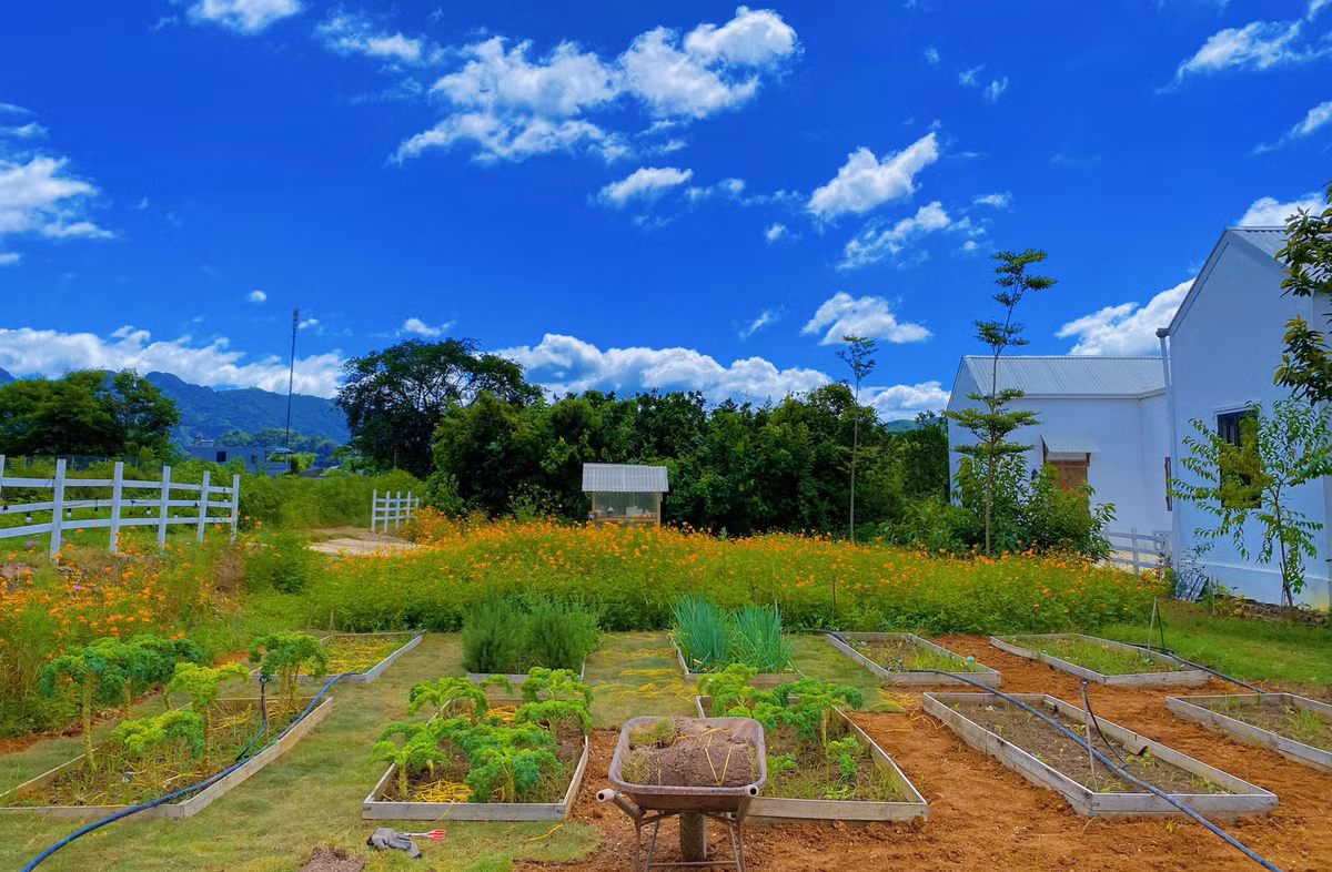 “Không gian sống có ý nghĩa rất lớn, là nơi mình tìm lại được những giây phút bình yên, được làm công việc mình thích, tuy vất vả nhưng hạnh phúc. Để cải tạo lại ngôi nhà cũ và khu vườn, mình đã dồn rất nhiều tâm huyết nên coi homestay này như đứa con tinh thần, dành trọn yêu thương”, chị Linh bày tỏ.