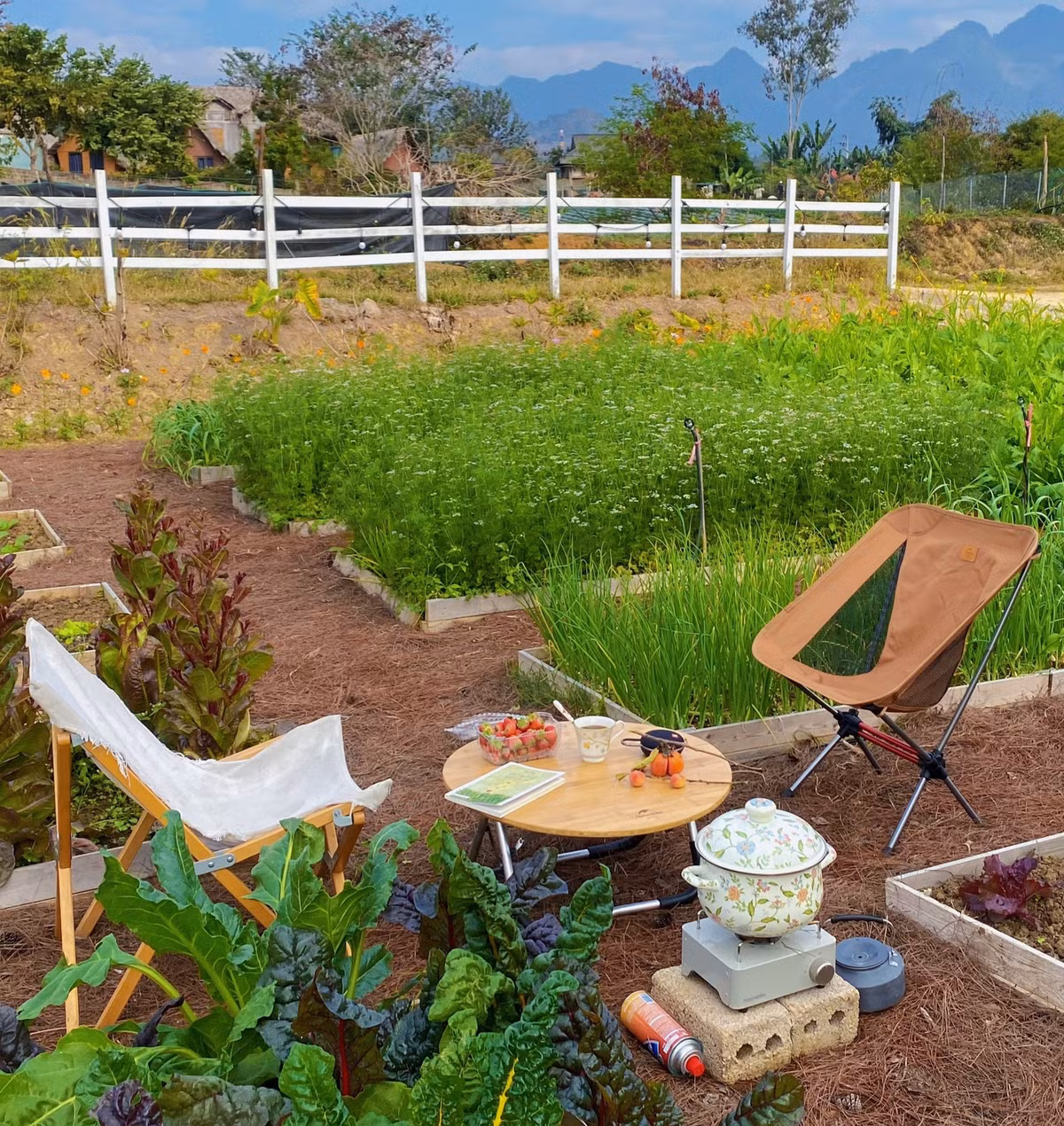 Chưa hết, khi nhà cải tạo được một nửa thì dịch Covid-19 bùng phát, thợ thay nhau nghỉ do nhiễm bệnh, trong khi giá vật liệu lại leo thang khiến quá trình thi công liên tục bị gián đoạn.