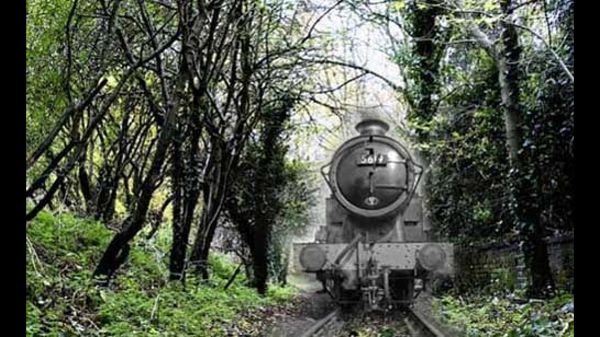 Shuster đến gặp người công nhân đường sắt lớn tuổi để hỏi chuyện gì đã xảy ra, người nhân viên đường sắt nói với anh ta: “Anh thật may mắn! Nếu anh lên chuyến tàu đó, anh sẽ không thể xuống được nữa. Đó là “chuyến tàu ma bí ẩn!” Schuster vừa mới chuyển đến đó không lâu, không biết về chuyện “đoàn tàu ma” ở địa phương.