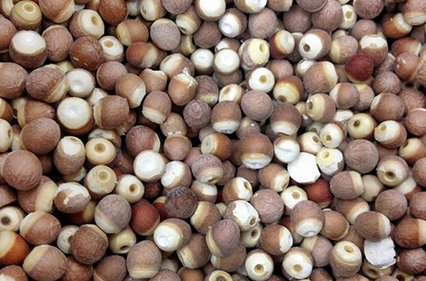 Đáng nói, tác dụng bổ thận tráng dương của khiếm thực còn mạnh hơn khoai mỡ; tác dụng khử ẩm tốt hơn đậu đỏ, tác dụng an thần mạnh hơn hạt sen. Y học cổ truyền Trung Quốc tin rằng khiếm thực có thể có lợi cho lá lách và dạ dày, chống lại sự lão hóa.