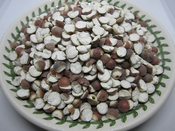 Sách Bản thảo cương mục (thầy thuốc Lý Thời Trân biên soạn vào thế kỷ 16 đầu thời nhà Minh) có viết: Khiếm thực có tác dụng dưỡng ẩm, chữa đau thắt lưng, cột sống và đầu gối, giúp dưỡng trung, bổ tinh, cường tâm, làm cho tai và mắt sáng. Tiêu thụ lâu ngày chống lại sự lão hóa.