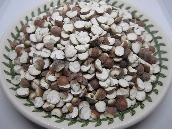 Sách Bản thảo cương mục (thầy thuốc Lý Thời Trân biên soạn vào thế kỷ 16 đầu thời nhà Minh) có viết: Khiếm thực có tác dụng dưỡng ẩm, chữa đau thắt lưng, cột sống và đầu gối, giúp dưỡng trung, bổ tinh, cường tâm, làm cho tai và mắt sáng. Tiêu thụ lâu ngày chống lại sự lão hóa.