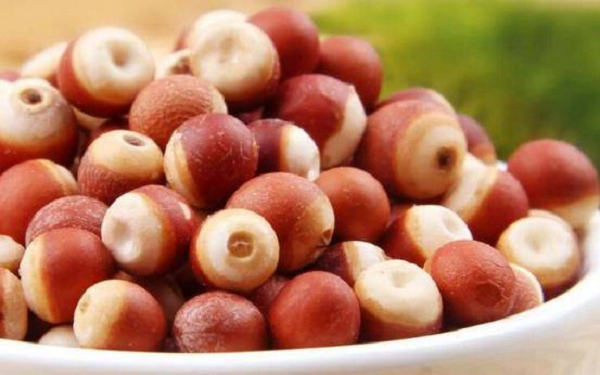 Các nghiên cứu cho thấy hạt khiếm thực có tác dụng chống oxy hóa và chống thiếu máu cục bộ. Theo sử sách ghi lại, mỗi ngày nhà thơ, nhà văn nổi tiếng Trung Quốc thời Tống tên là Tô Đông Pha đều ăn từ 10 - 30 hạt khiếm thực để giữ gìn sức khỏe, cuối đời làn da vẫn sáng hồng, tư duy vẫn nhanh nhạy.