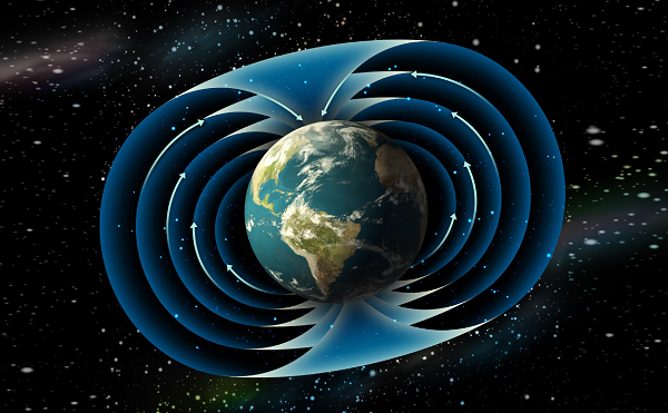 Hàng chục năm sau khi Einstein gửi bức thư trên, chúng ta đã biết thêm nhiều thông tin về hành vi của loài ong, cách côn trùng tương tác với thế giới. Đúng như Einstein dự đoán, kiến thức từ các nghiên cứu đã giúp cải tiến một số công nghệ, chẳng hạn như camera trên smartphone.